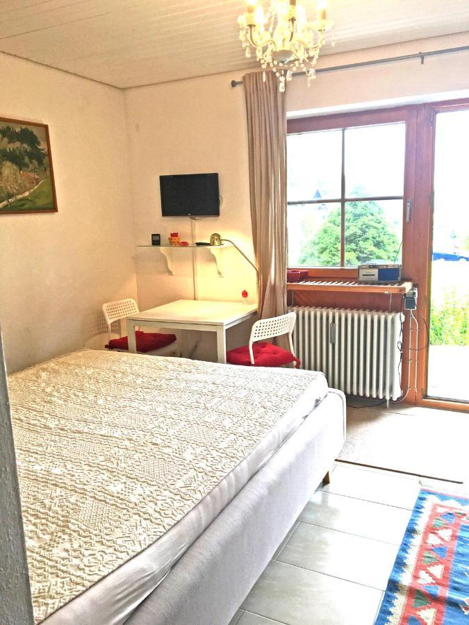 Ferienwohnung Spitzstein Bentz زاخرنغ المظهر الخارجي الصورة